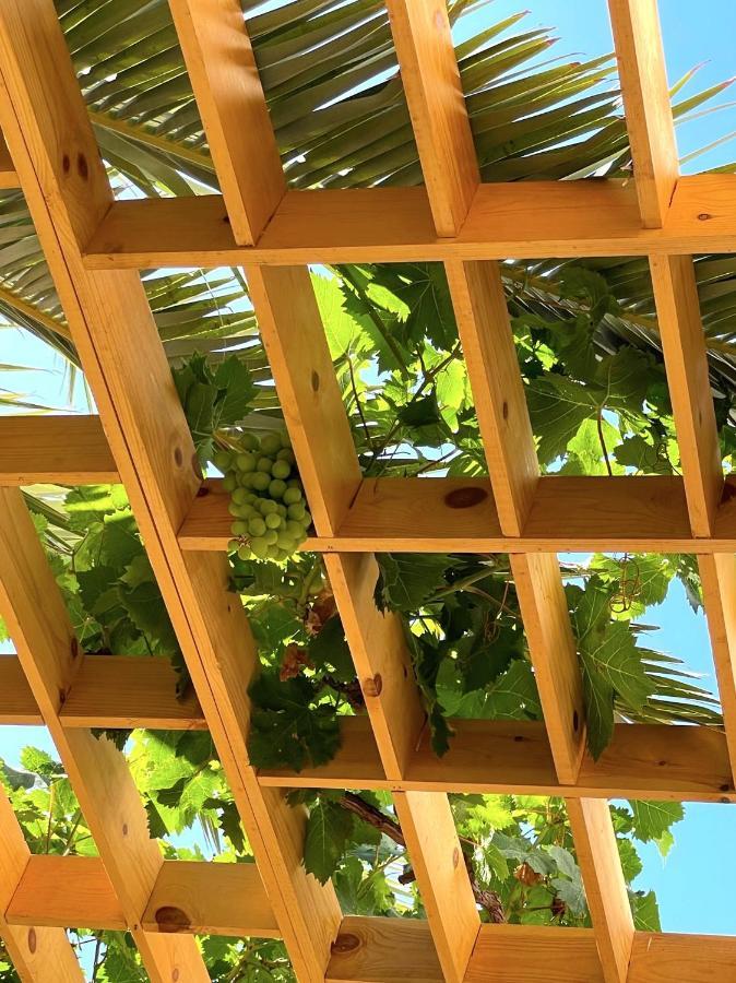 Dar Maria - Maison D'Hotes Aouchtame Bni Said Экстерьер фото